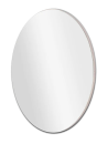 Birch Mirror