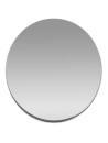 Birch Mirror