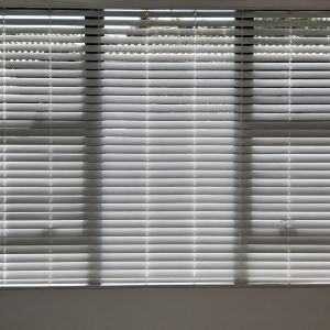 Venetian Blinds