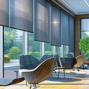 Motorisation Blinds