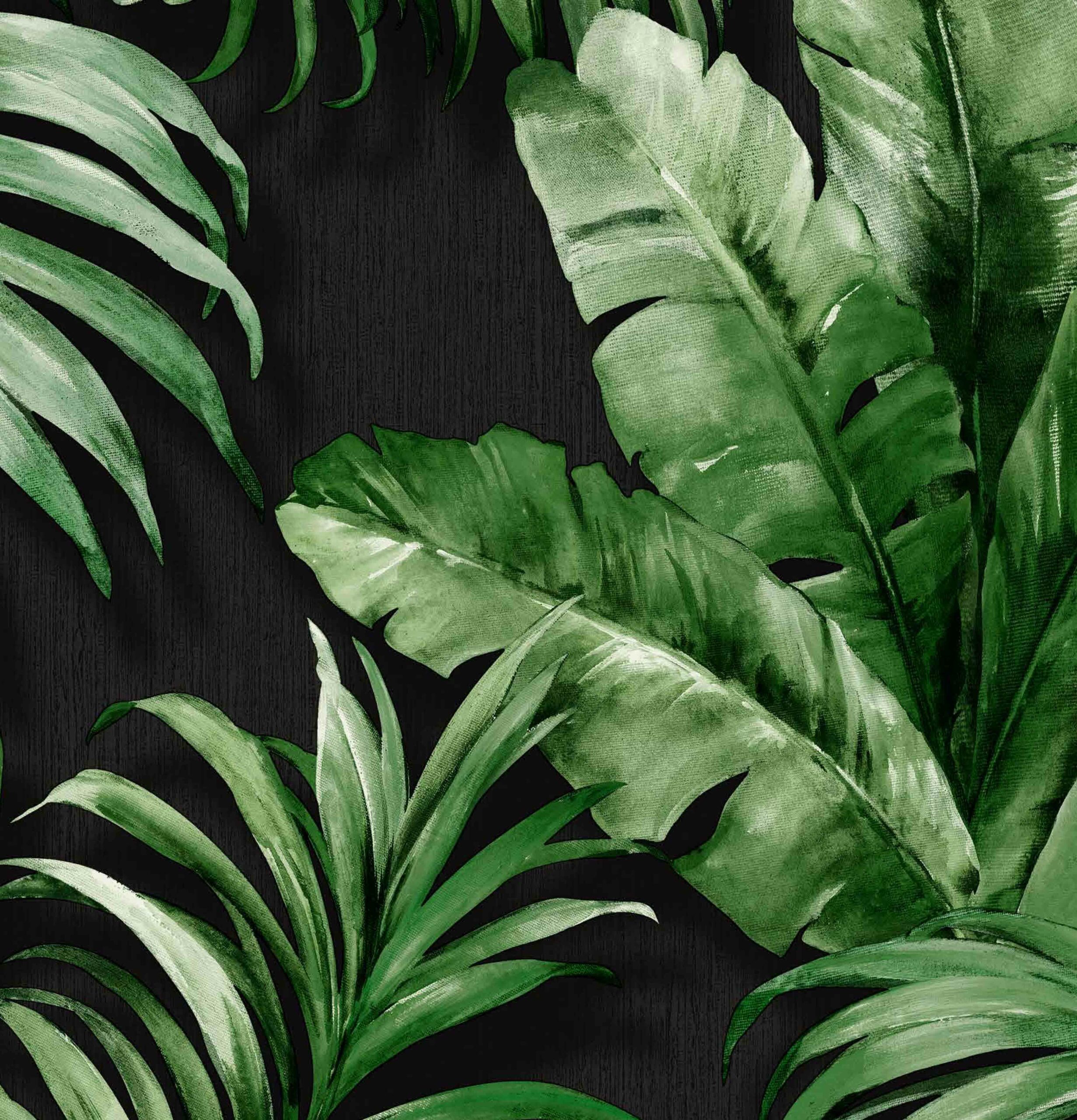 Tropical Wallpaper
